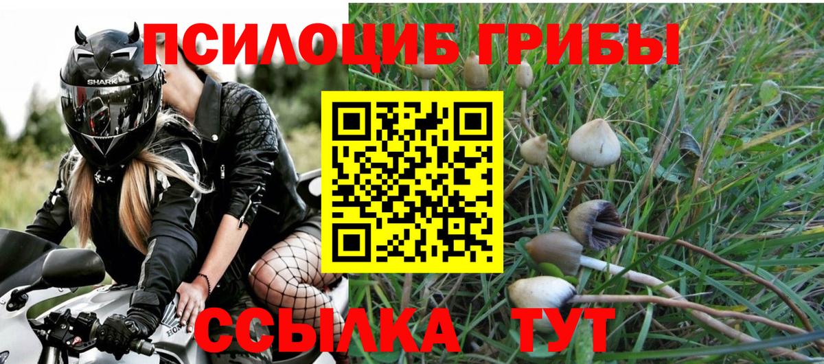 Галлюциногенные грибы мухоморы Якутск