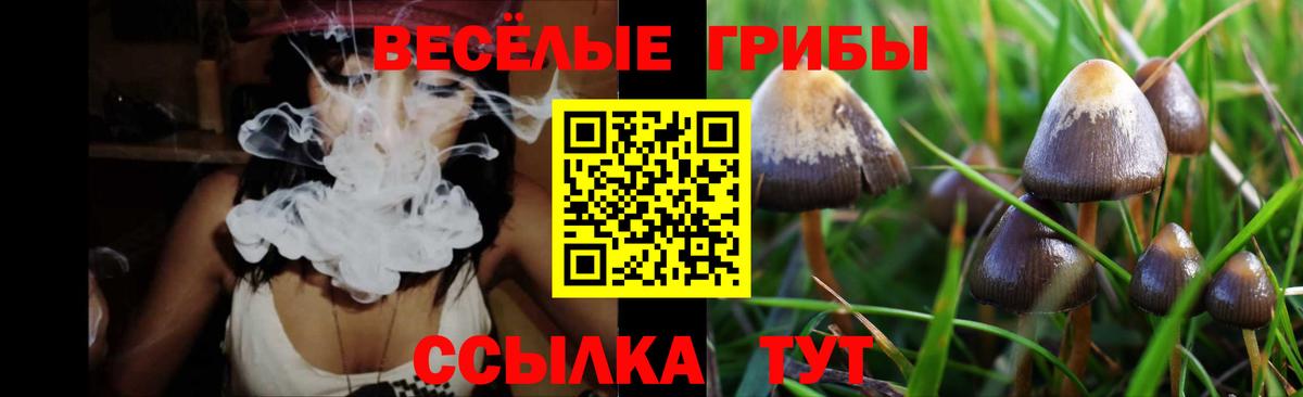 Псилоцибиновые грибы мицелий  Галлюциногенные грибы MAGIC MUSHROOMS  хочу   Якутск  Вход с VPN 