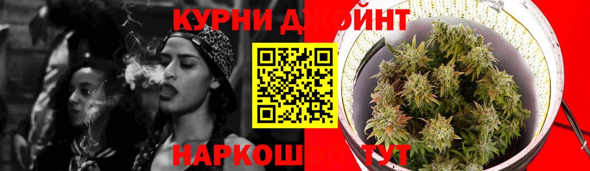 Конопля планчик  Бошки марихуана White Widow  МАРИХУАНА Amnesia  Якутск  Вход с VPN 